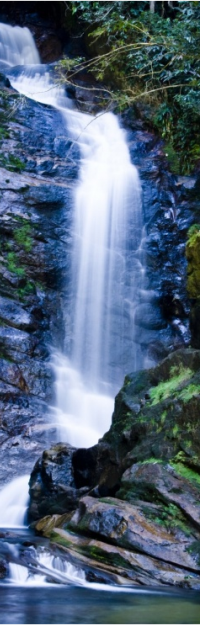 Som